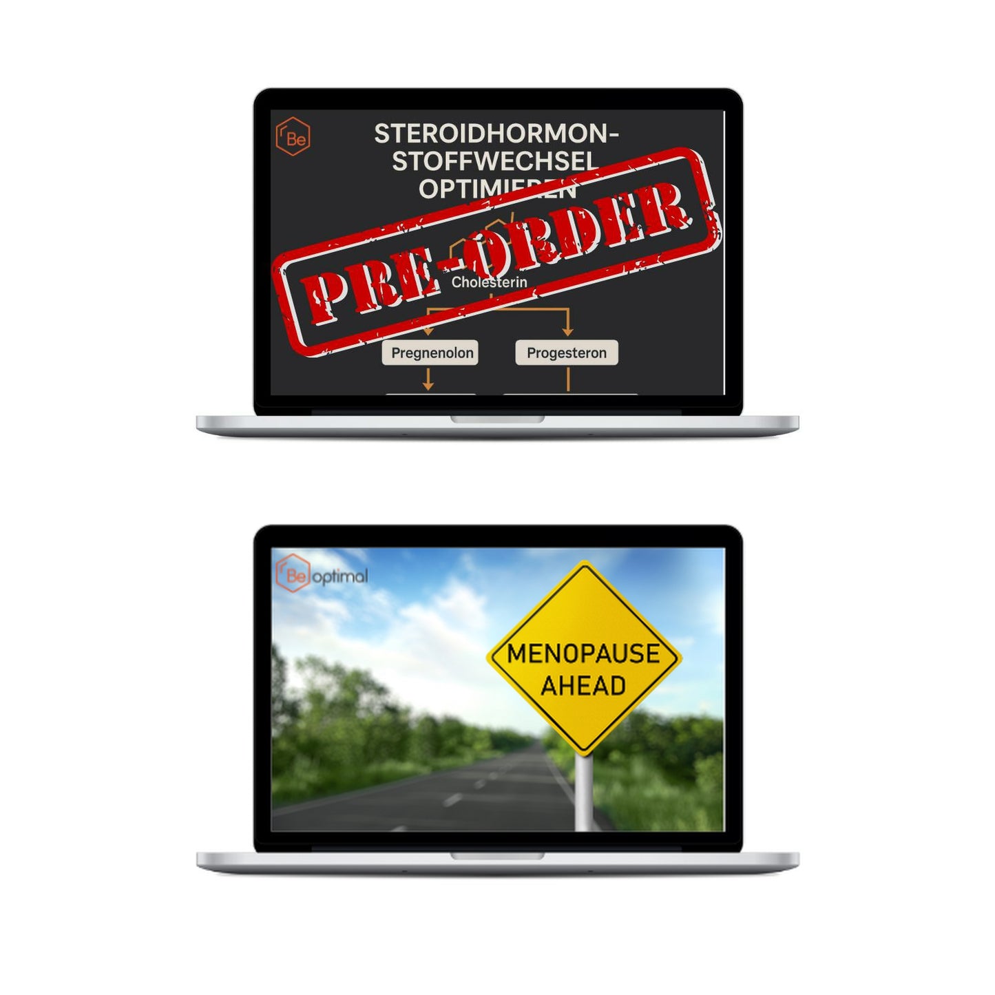 PRESALE Workshop: Perimenopause - what no one has explained to you yet!