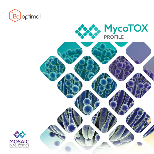 MYCOTOX - Schimmel- und Mykotoxin-Belastungstest